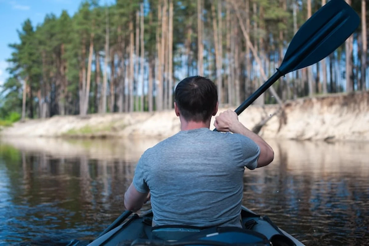 Samiec pływa w kajaku wzdłuż rzeki sosnowego lasu w lecie